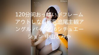 120分间おっぱいがフレームアウトしない巨乳追尾主観アングル パイズリ6シチュエーション 中山ふみか