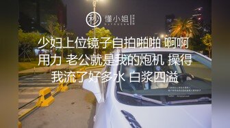 私房大神三只眼团队失联之前最后未流出系列 国内商场偷拍4K超清-巅峰之作