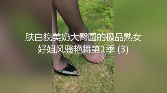 (下集) 【现场调教节目二】培育奴隶犬