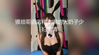 猥琐哥酒店和丰满的大奶子少妇偷情