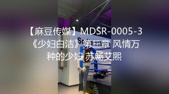 【麻豆传媒】MDSR-0005-3《少妇白洁》第三章 风情万种的少妇 苏畅艾熙