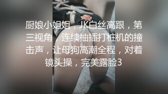 厨娘小姐姐，JK白丝高跟，第三视角，连续抽插打桩机的撞击声，让母狗高潮全程，对着镜头操，完美露脸3